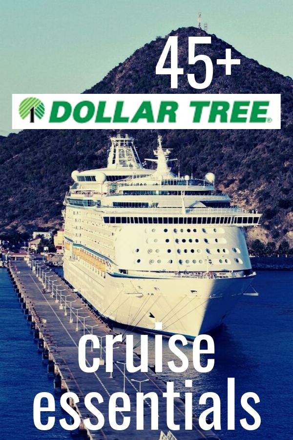 25 Dollar Store MUST-BUY Items for a Disney Cruise - Mama Cheaps®